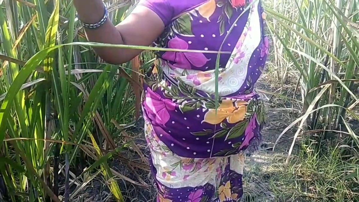 Indian Desi Porn Scene in Sugarcane Garden – Hot Outdoor Chudai