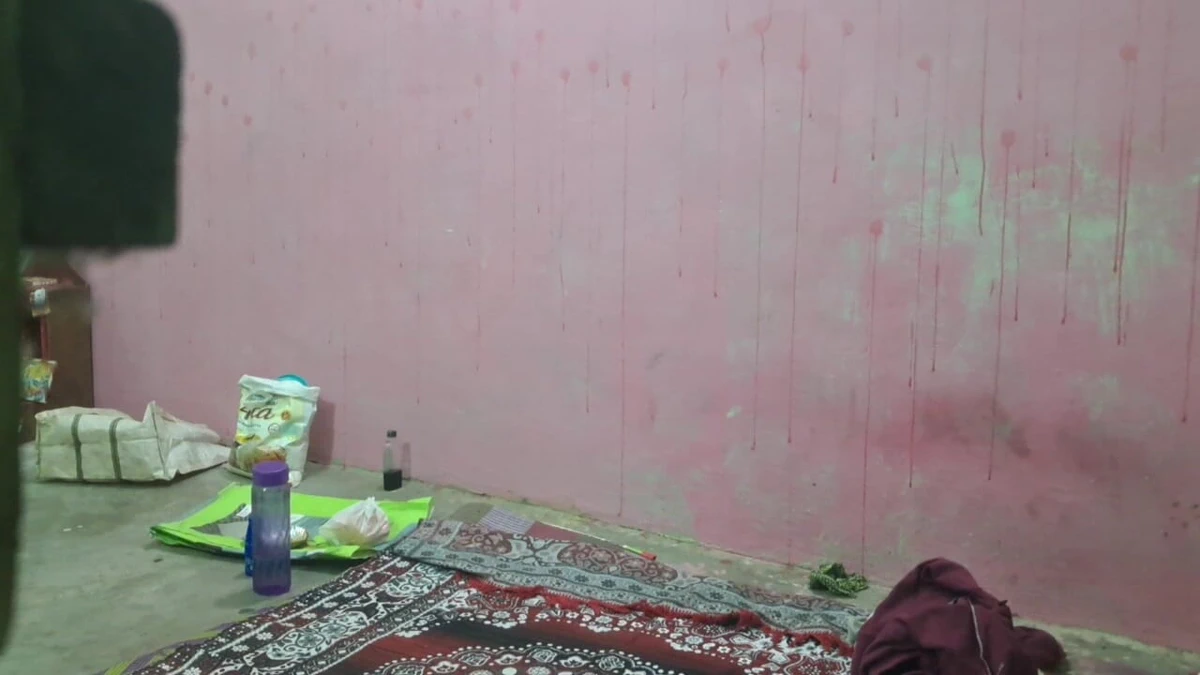 Indian Desi Girl Amazing Sex Video